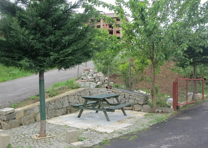 Cabin Rentals in Trabzon